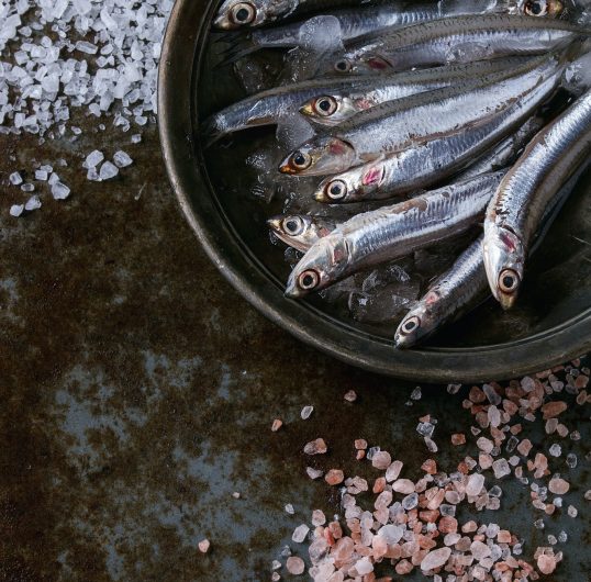 Raw fresh anchovies fishes